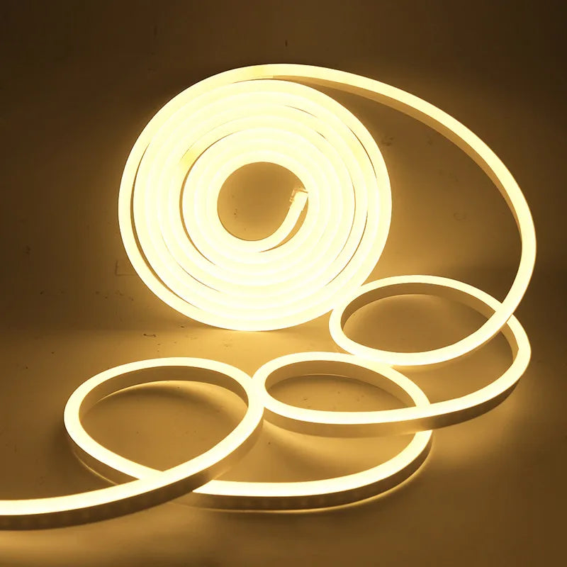 EU 220V Neon Strip Waterproof White/Warm White 2835 120Leds/M Ribbon Tape Flexible LED Strip Lamp for Outdoor Garden Decoration