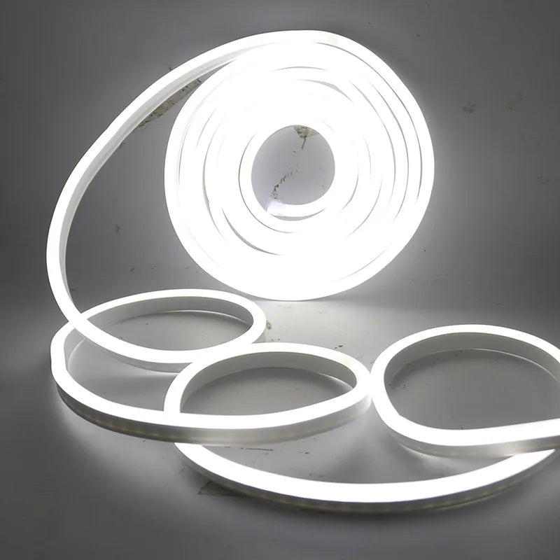 EU 220V Neon Strip Waterproof White/Warm White 2835 120Leds/M Ribbon Tape Flexible LED Strip Lamp for Outdoor Garden Decoration