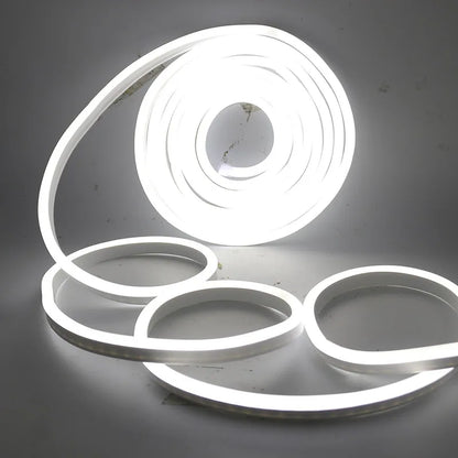 EU 220V Neon Strip Waterproof White/Warm White 2835 120Leds/M Ribbon Tape Flexible LED Strip Lamp for Outdoor Garden Decoration